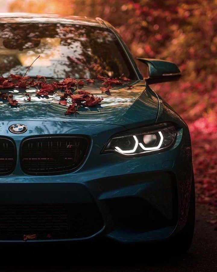 BMW M2 F87